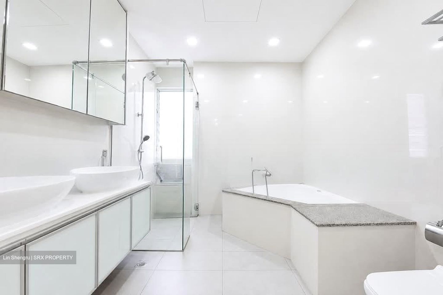Regency Park (D10), Condominium #606969231